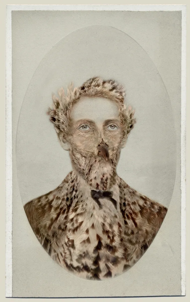 Manipulated photograph which combines the features of a Victorian man and Sage Thrasher