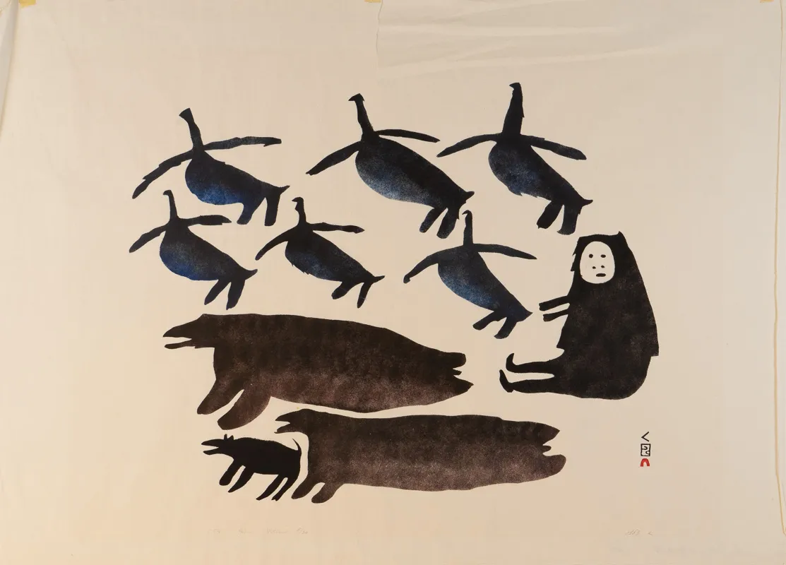 Six birds, one human, and three seals hanging out together. 