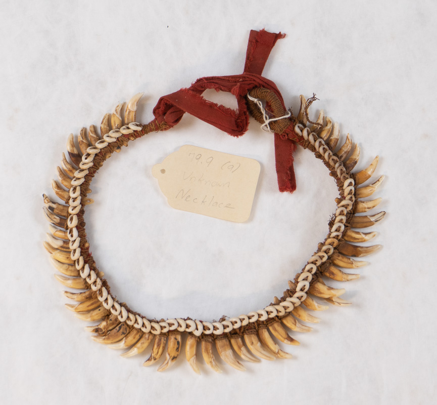 Necklace with shells and teeth