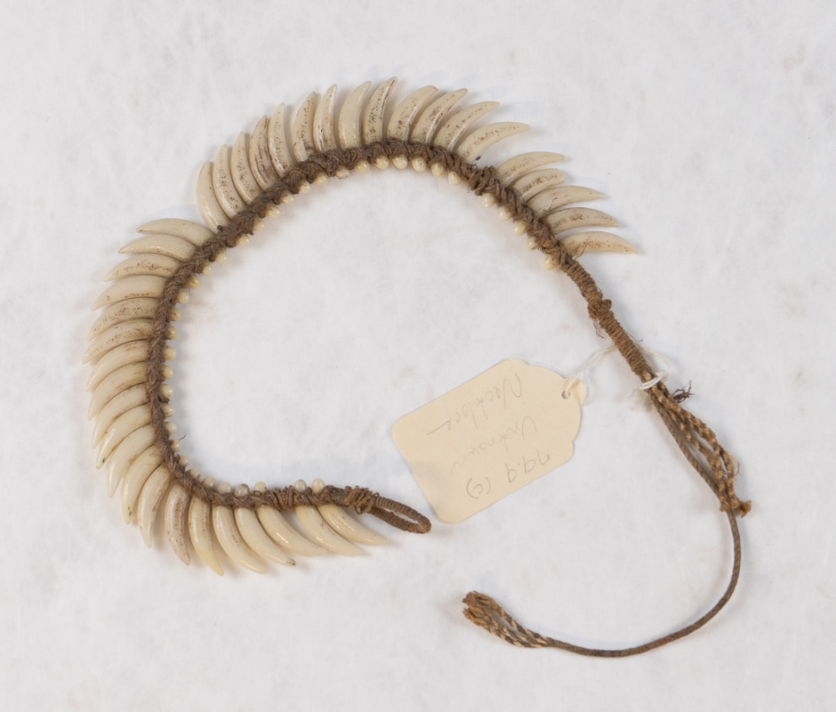 Necklace made with dog teeth.