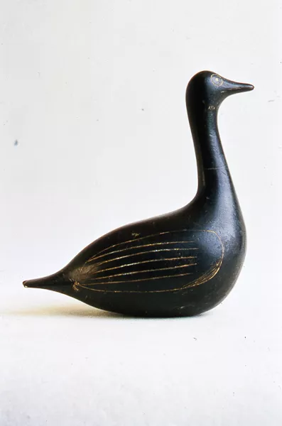 Bird