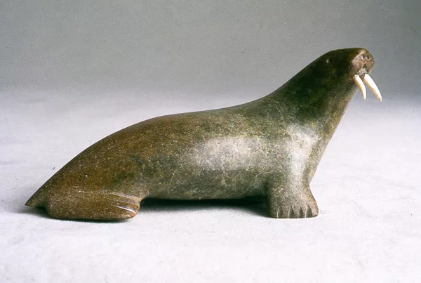 Walrus