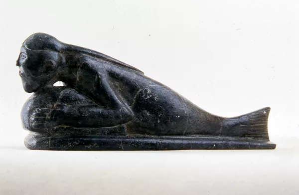 Ilkulu nappa (half-fish)