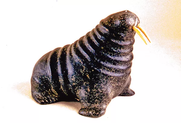 Walrus