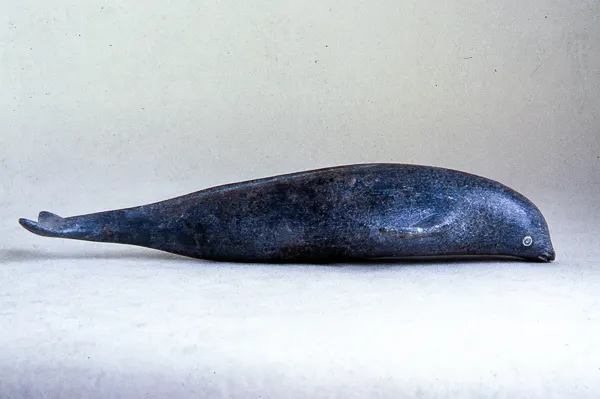 Whale