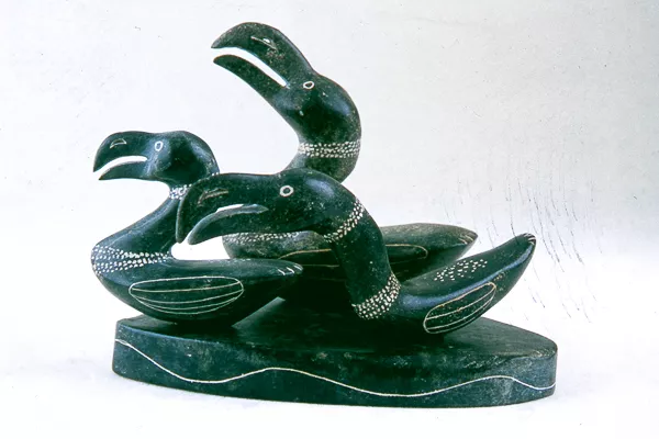 Swimming Birds