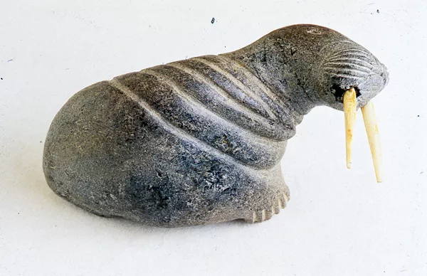 Walrus