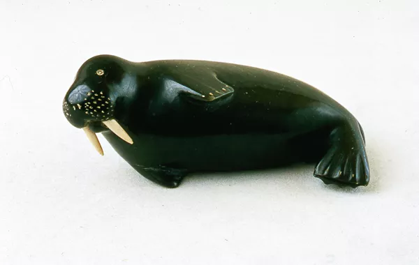 Walrus