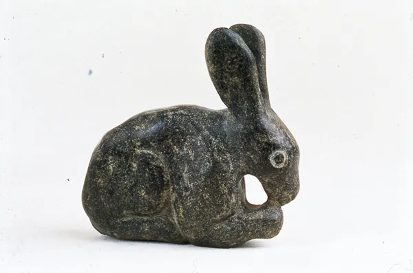 Rabbit