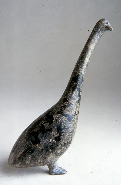 Goose with Long Neck
