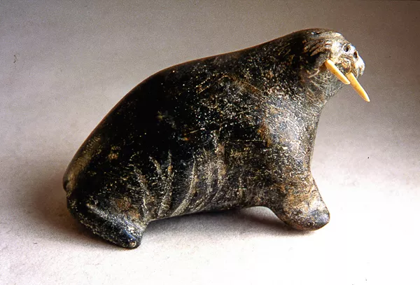 Walrus