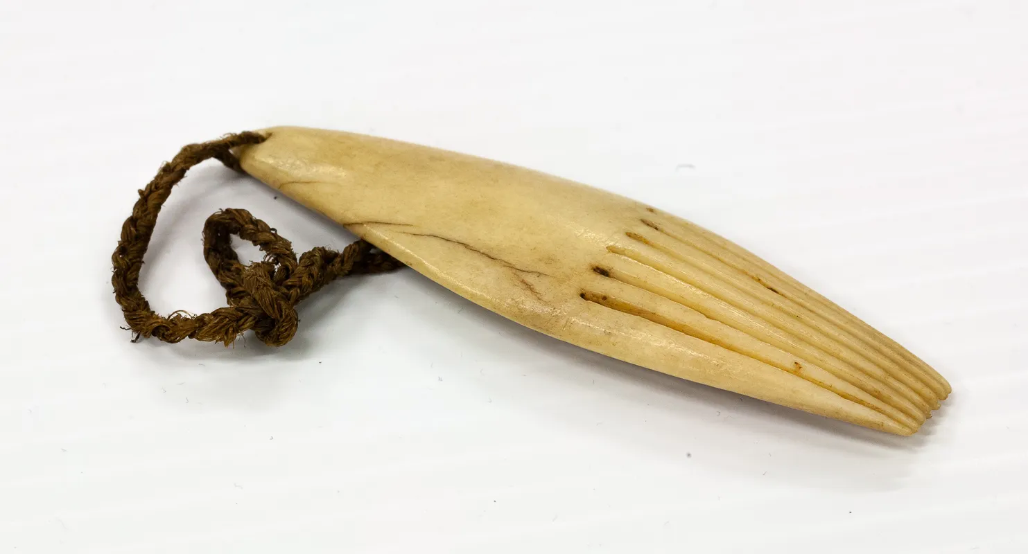 Comb