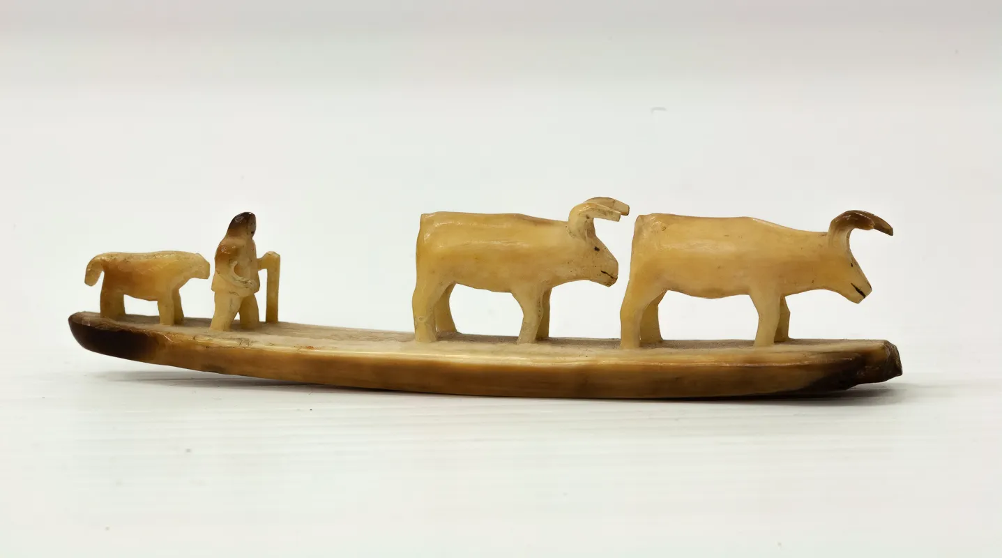 Man with Dog and Musk Oxen