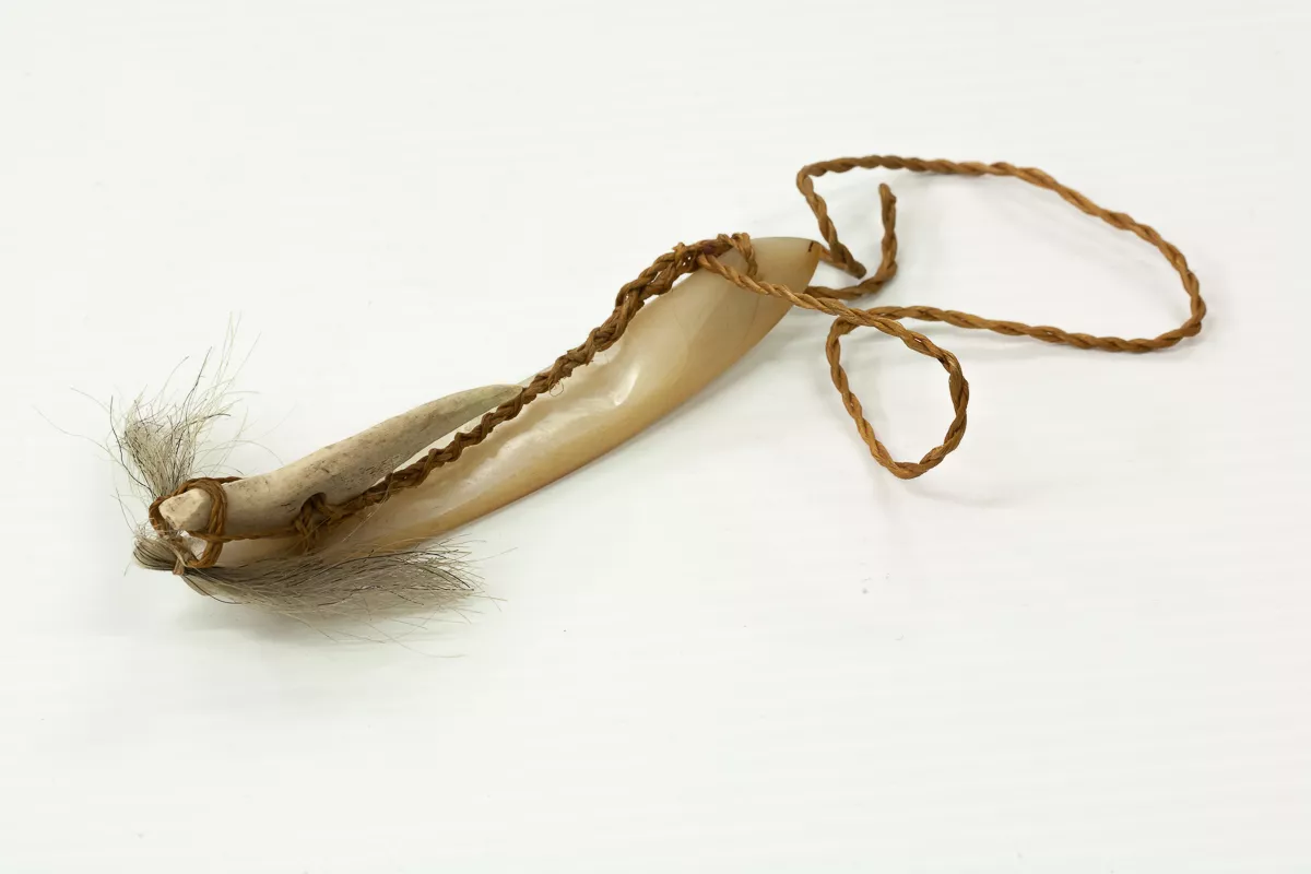 Fish Hook (Karjuksak)