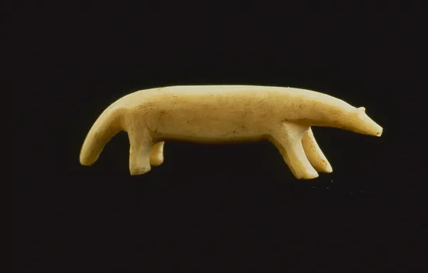 Polar Bear, Whale, Otter & Seal (Bear)