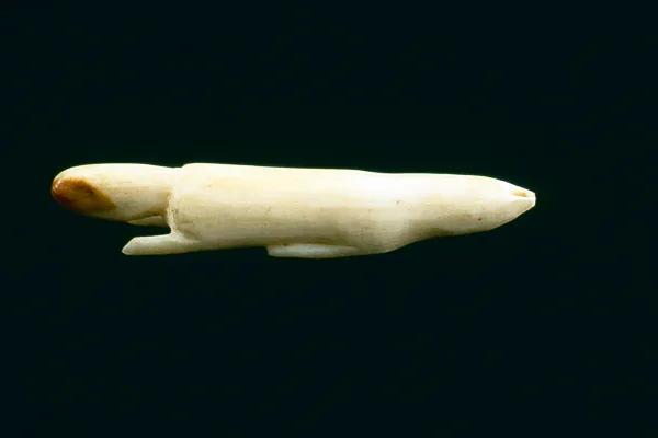 Polar Bear, Whale, Otter & Seal (Otter)