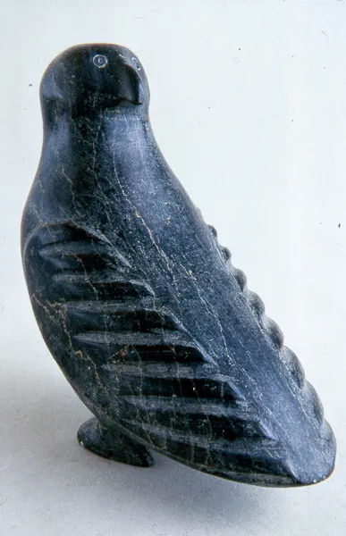 Owl Looking Backward