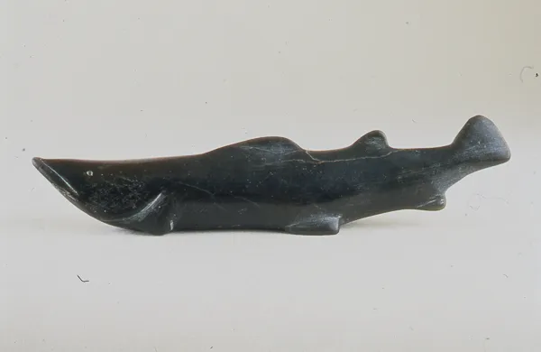 Salmon