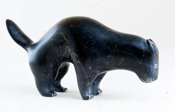 Beaver