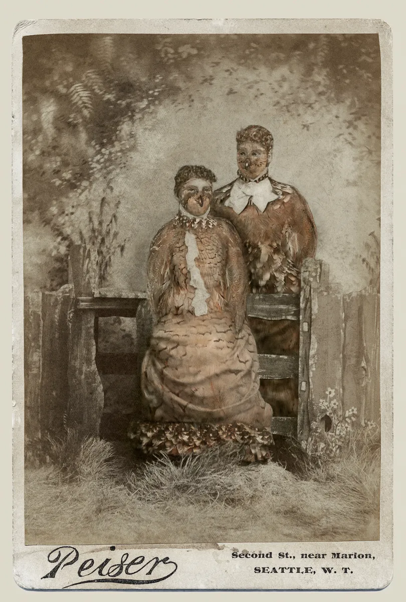 Manipulated photograph which combines the features of a Victorian couple and a couple Northern Bobwhites