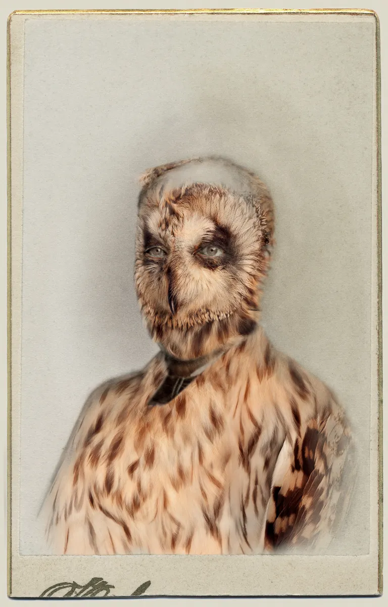 Manipulated photograph which combines the features of a Victorian man and a Short-eared Owl