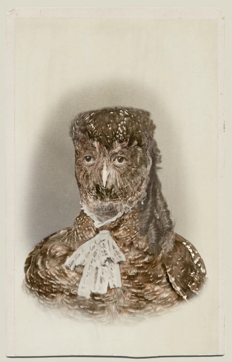 Manipulated photograph which combines the features of a Victorian woman and a Spotted Owl