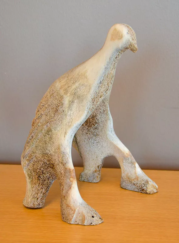 A bone shaped like a bird.