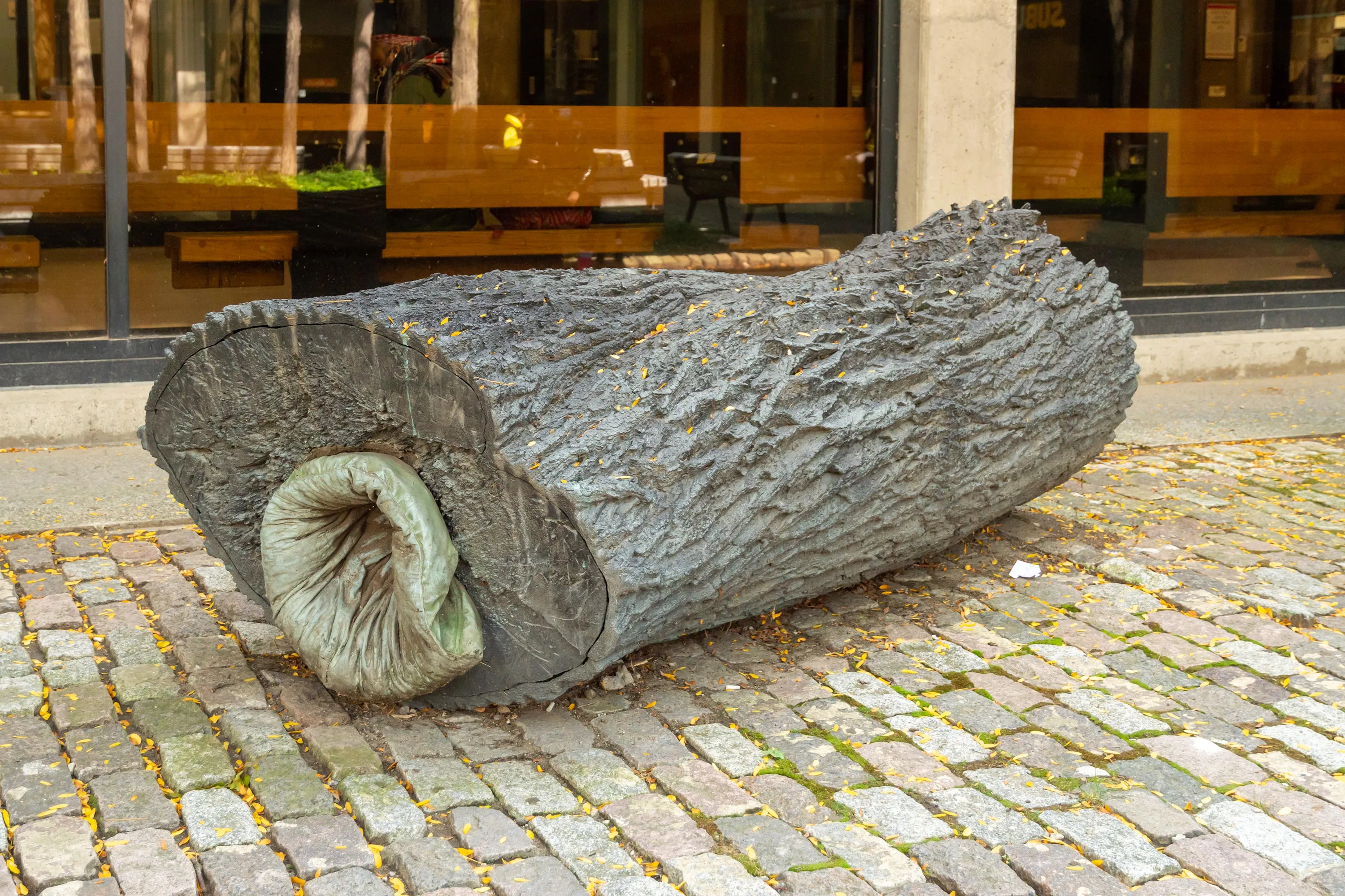 Installation of fallen tree with a plastic bag coming out the centre