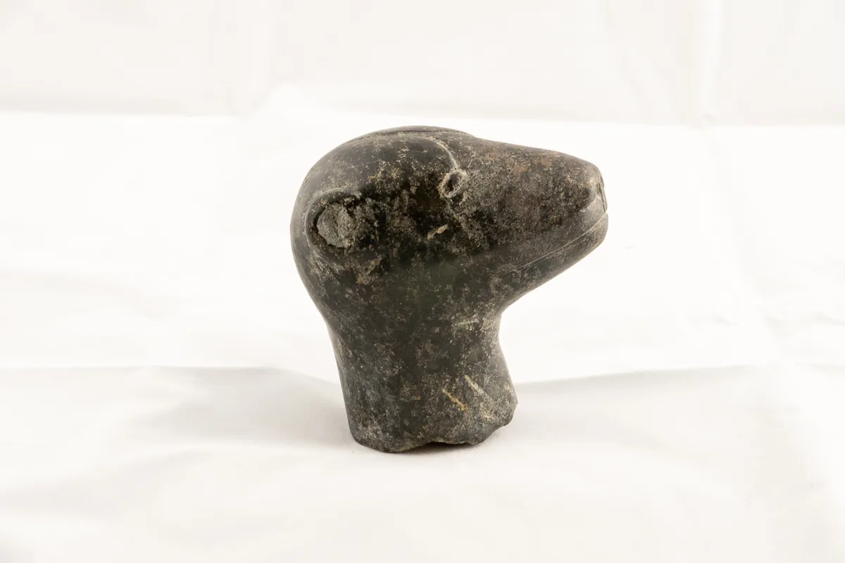 Head of a bear in greenish stone.