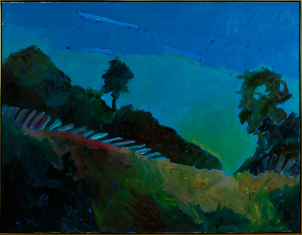 Nighttime view of a rural hill with trees.