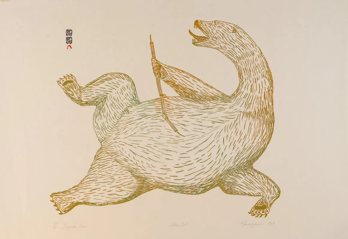 Injured bear.