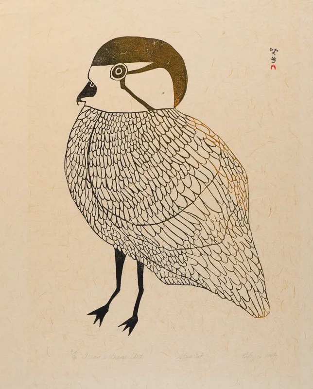 A bird, apparently strange. 