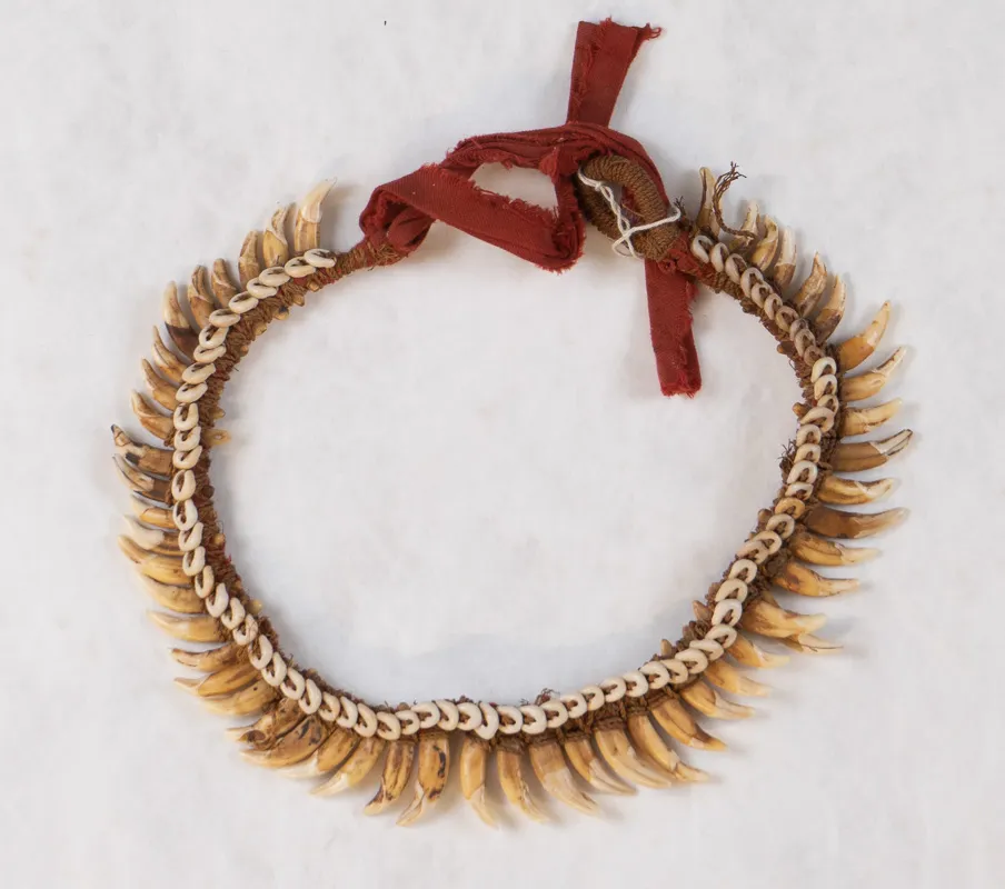 Necklace with shells and teeth