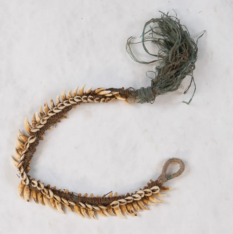 Necklace with teeth and dog teeth.