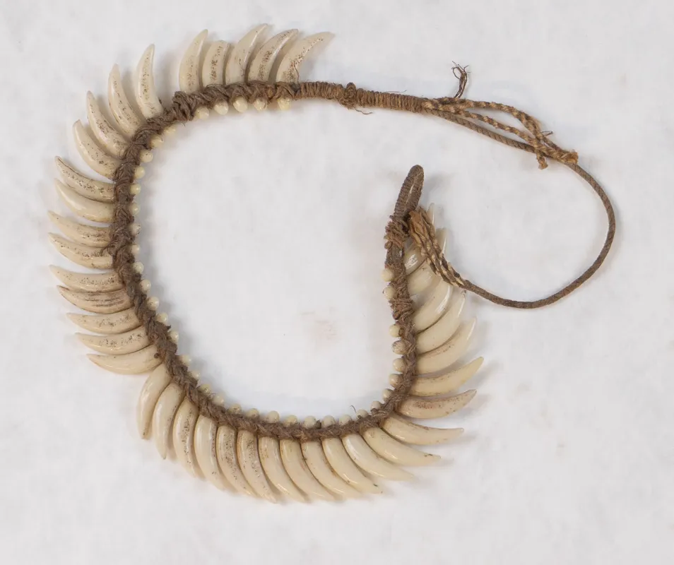 Necklace made with dog teeth.