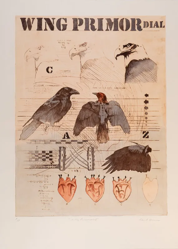 Several birds and diagrams of hearts.