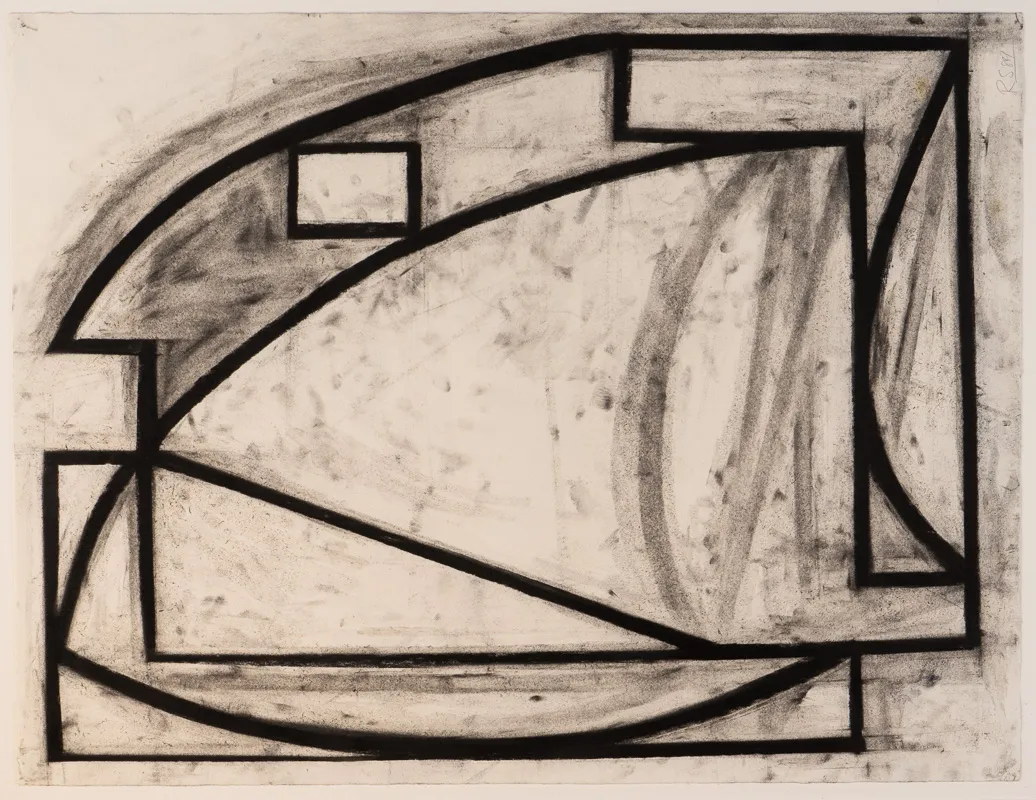 Thick black lines forming an irregular shape.
