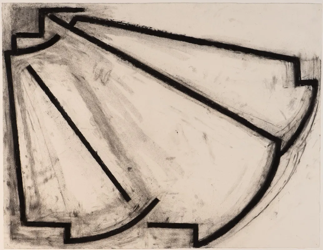 Thick black lines forming an irregular shape.