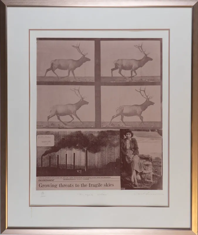 A group of six images: Four elk above a factory spewing pollution and a woman sitting facing the camera. Headline reads "Fragile skies".