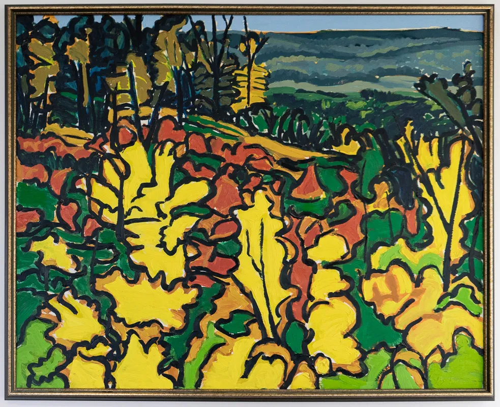 A fall scene looking over a valley. In the foreground, some very visible yellow foliage. 